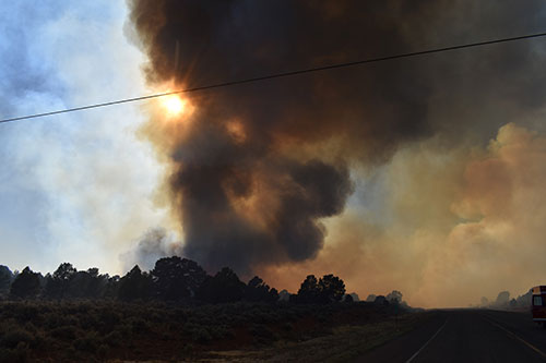 Smoke coming from fire in forest